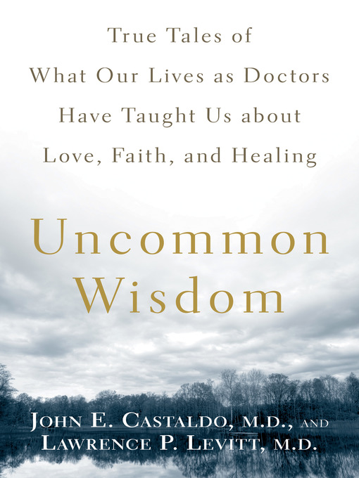 Title details for Uncommon Wisdom by John Castaldo - Available